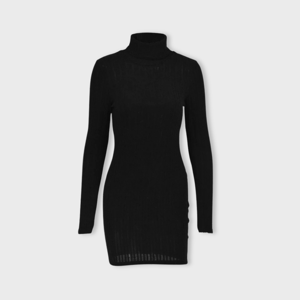 Losece | Women's Long Sleeve Turtleneck Dress