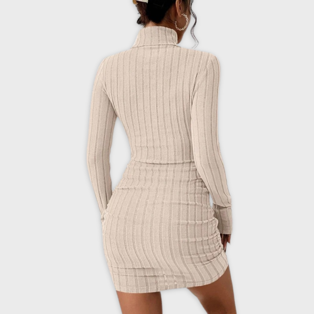 Losece | Women's Long Sleeve Turtleneck Dress