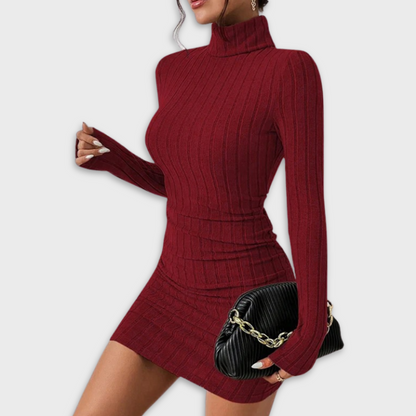 Losece | Women's Long Sleeve Turtleneck Dress