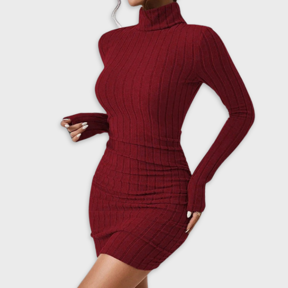 Losece | Women's Long Sleeve Turtleneck Dress